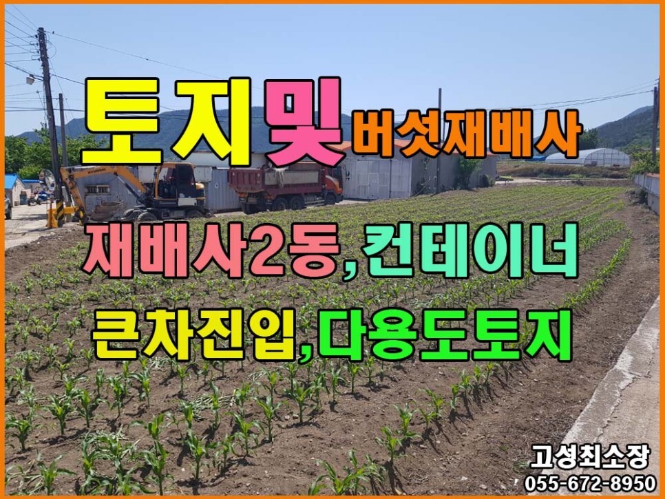  경남고성부동산(토지,버섯재배사) ㅡ 버섯재배사 2동 있는 토지 매매 ㅣ계획관리지역 토지