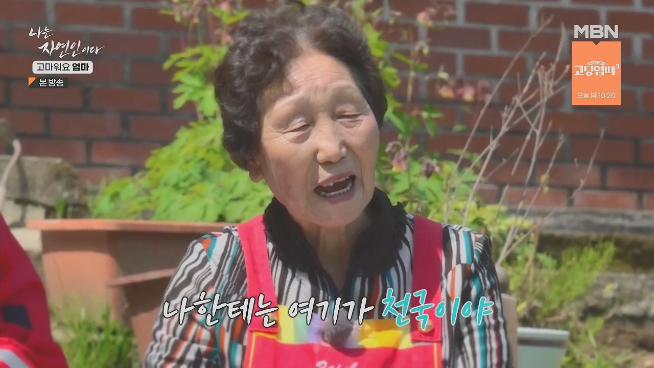 나는 자연인이다.E554.230518p.H264-F1RST.mp4_20230518_194507.160.jpg