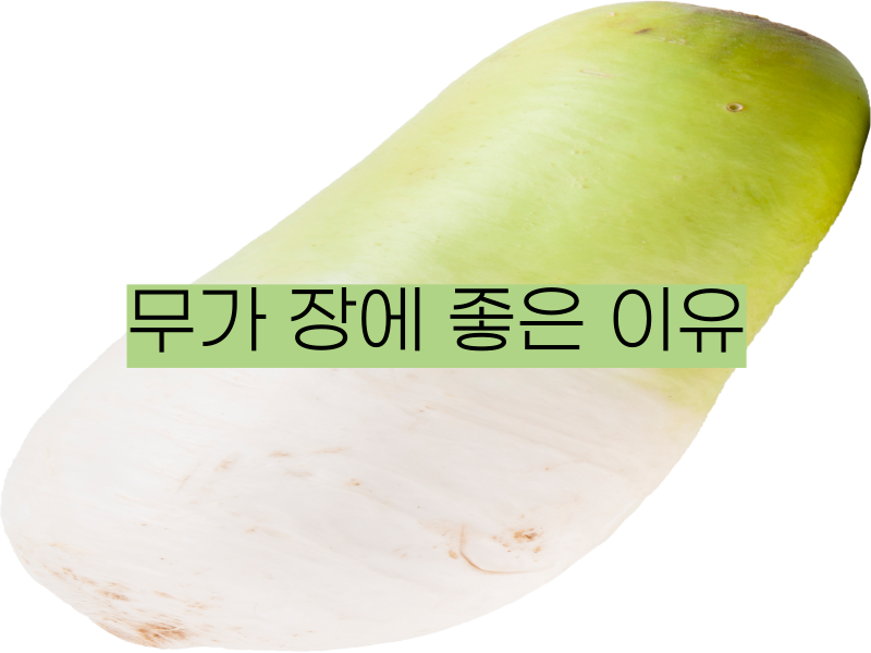 무가-장에-좋은-이유