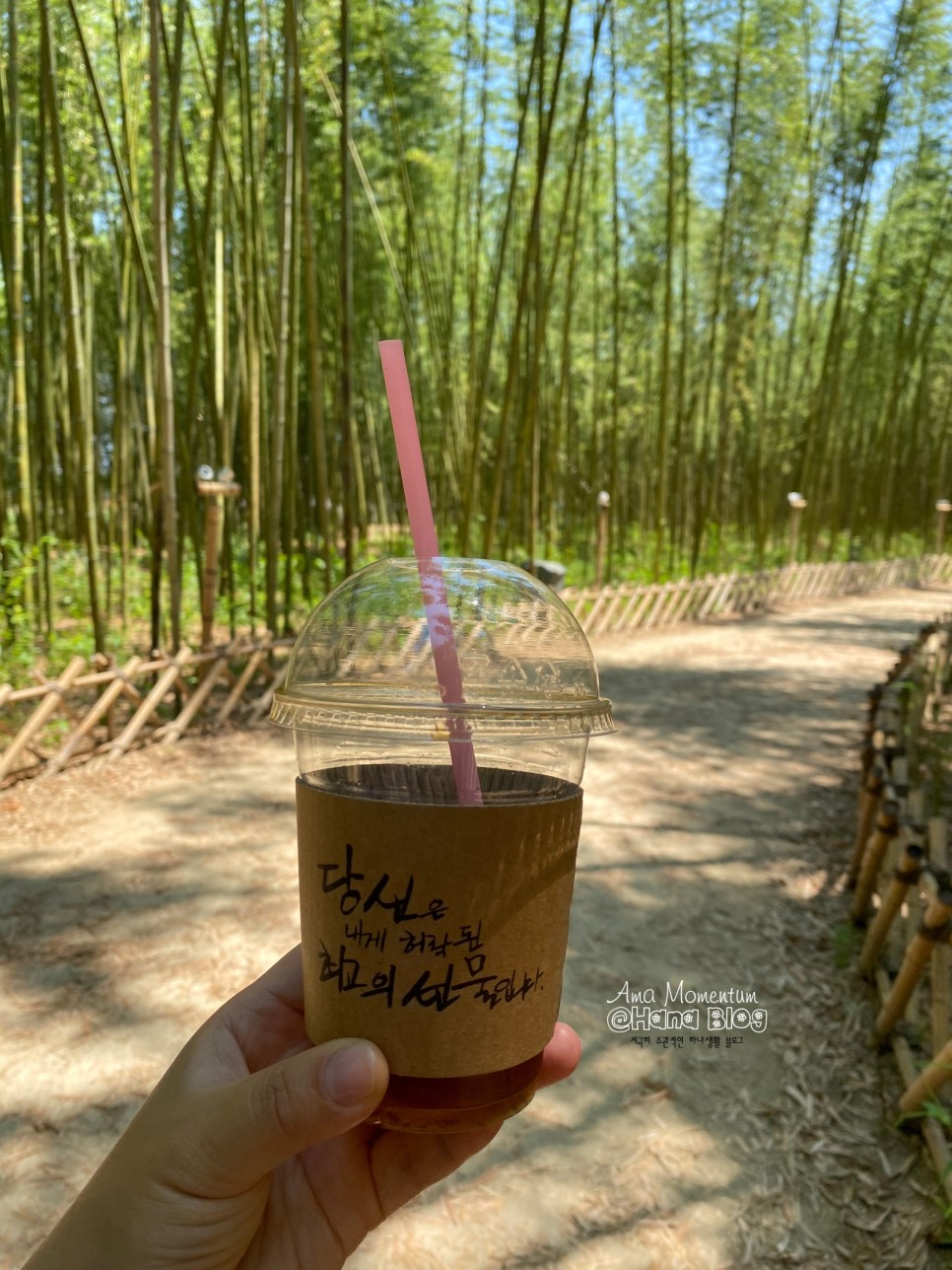 꽃양귀비 [ 울산 여행 ] 한 폭의 수채화♥ 양귀비와 85