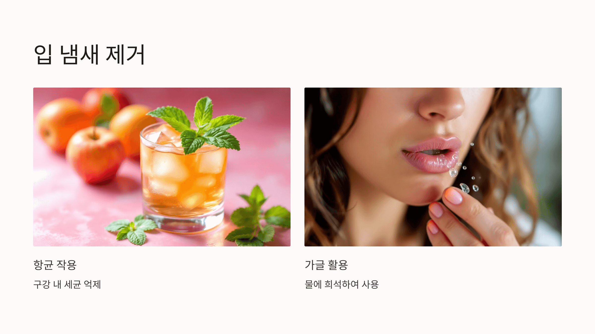 애사비 사진입니다.