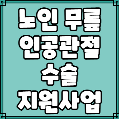 노인 무릎 인공관절 수술 지원 사업