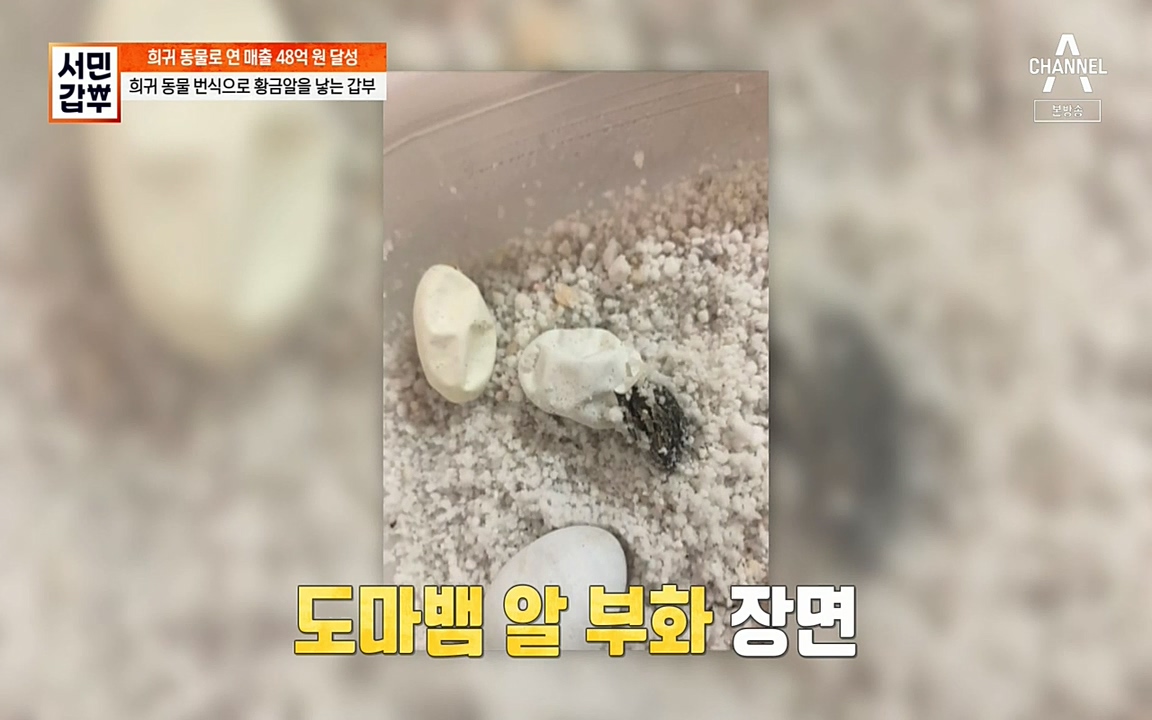 서민 갑부.E381.220431p-NEXT.mp4_20220501_180418.565.jpg