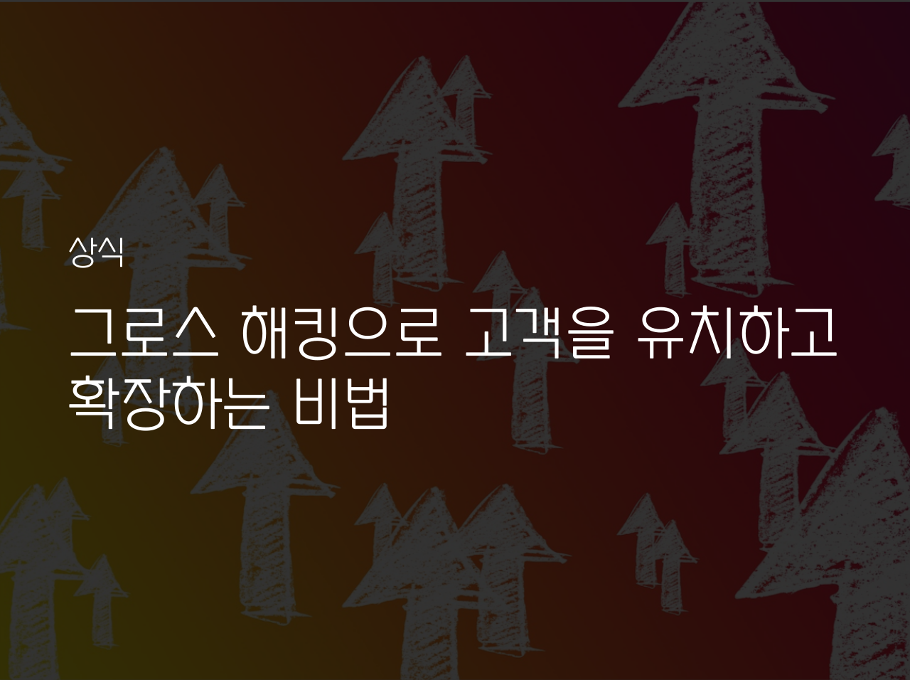  그로스 해킹으로 고객을 유치하고 확장하는 비법
