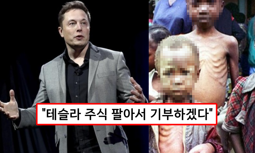  일론머스크 "테슬라 주식 팔아서 재산 2% 기부하겠다." 조건 2가지와 같이 말했다.