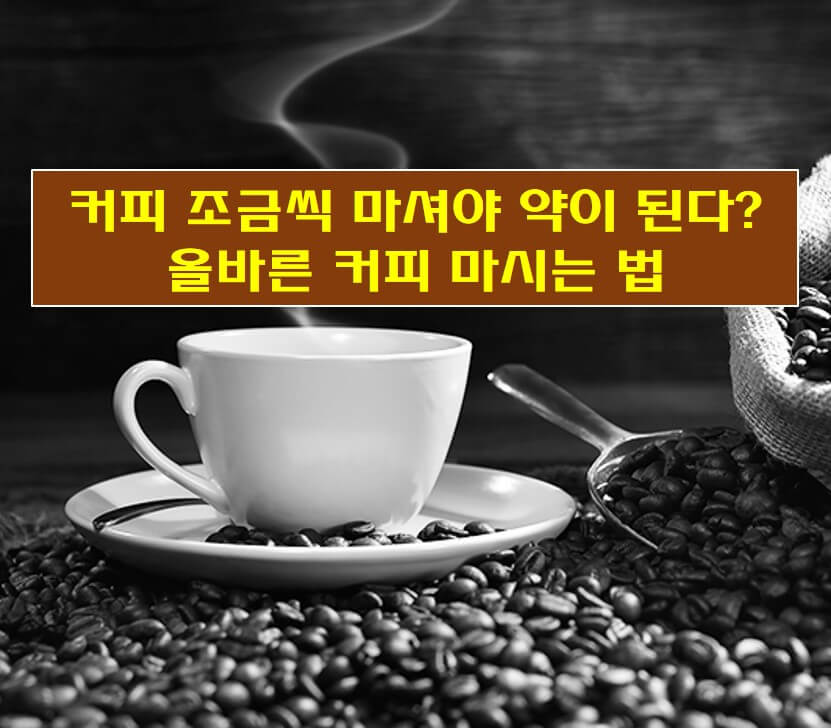  커피 조금씩 마셔야 약이 된다? 올바른 커피 마시는 법