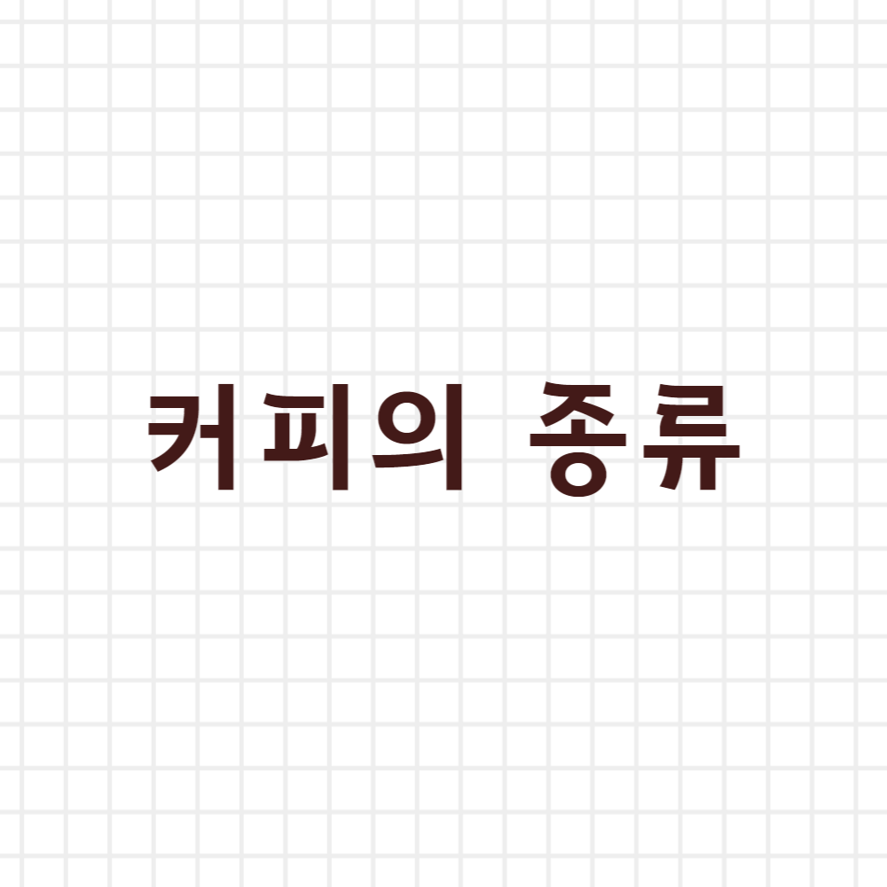  커피의 종류 분류