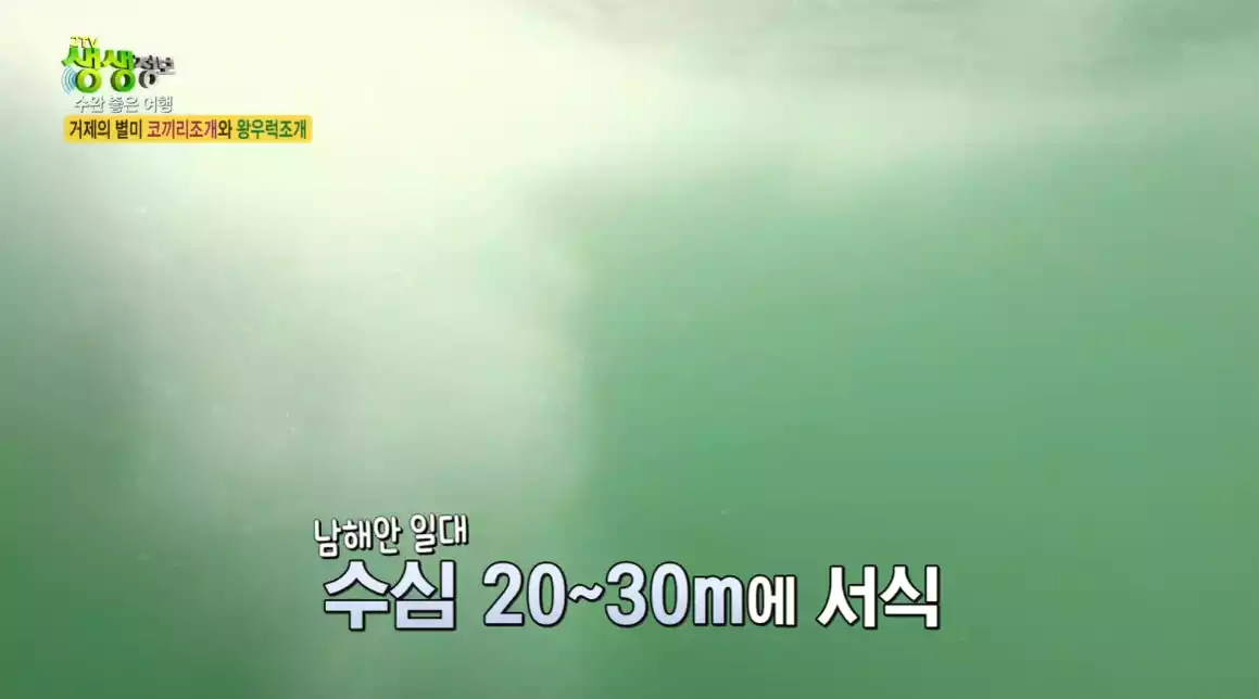 바닷속