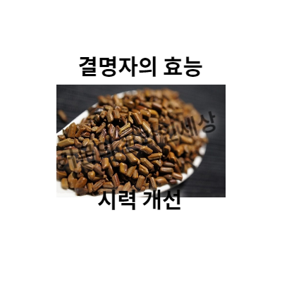 결명자의 효능