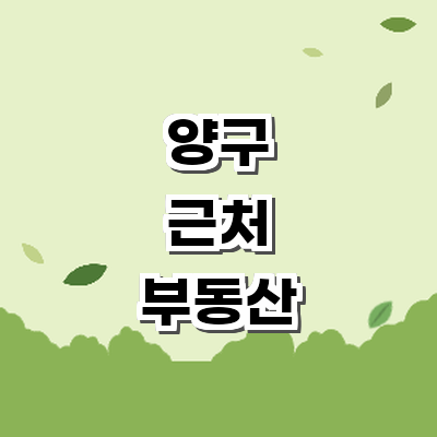 양구군 부동산 중개업