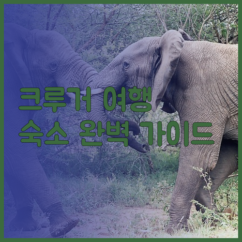 크루거 국립공원 여행 계획 중? 팔라