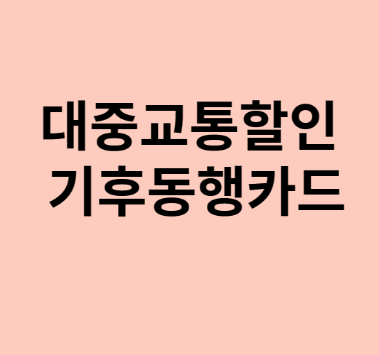 대중교통할인카드 기후동행카드