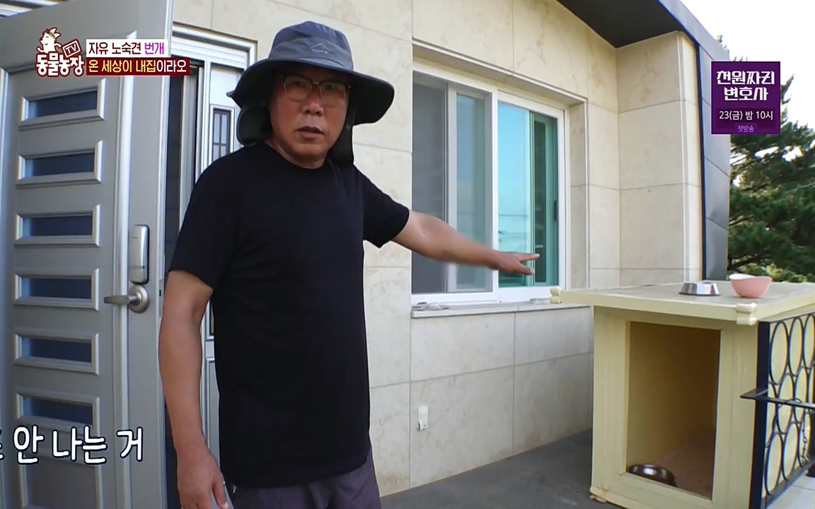 TV 동물농장.E1087.220919p-NEXT.mp4_20220918_180223.647.jpg