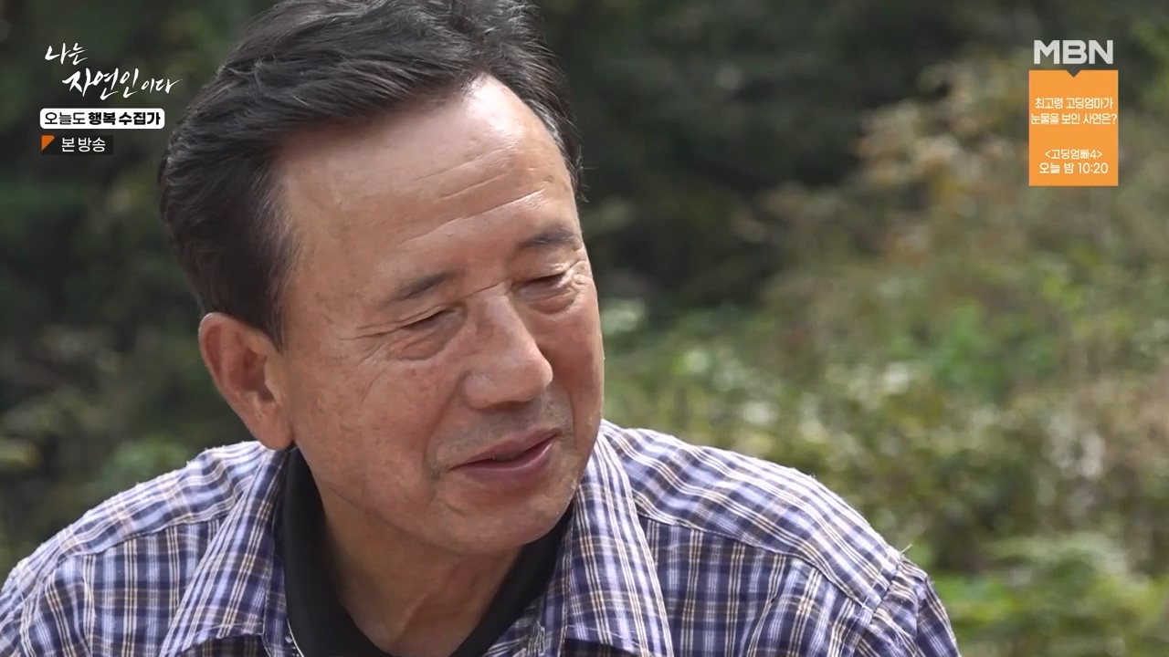 나는 자연인이다.E578.231102p-NEXT.mp4_20231102_202931.686.jpg