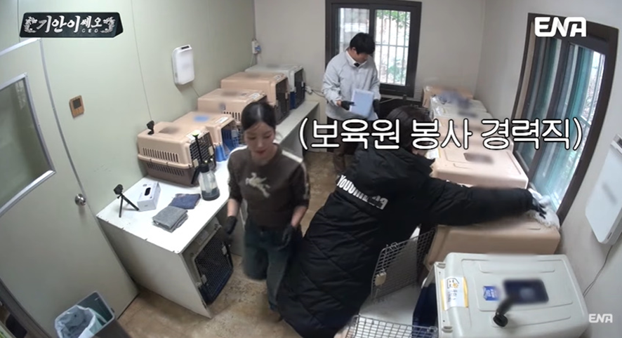 총맞은 채로 구조된 강아지 보고 눈물 흘린 기안84 | 인스티즈