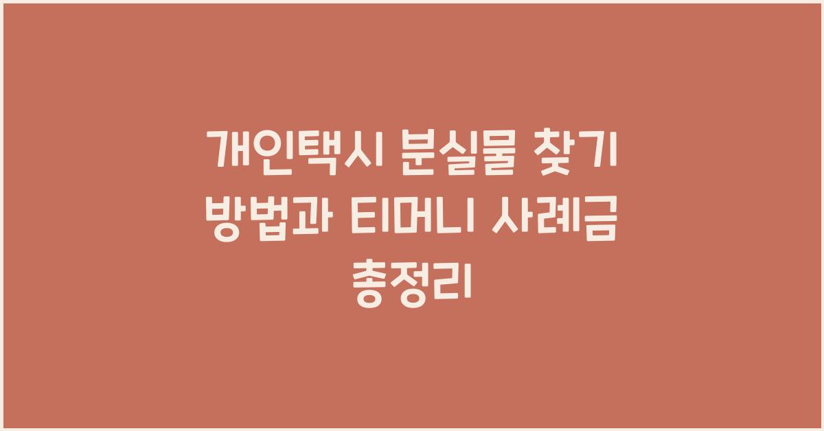 개인택시 분실물 찾기 방법 택시 유실물센터 조회 티머니 사례금 