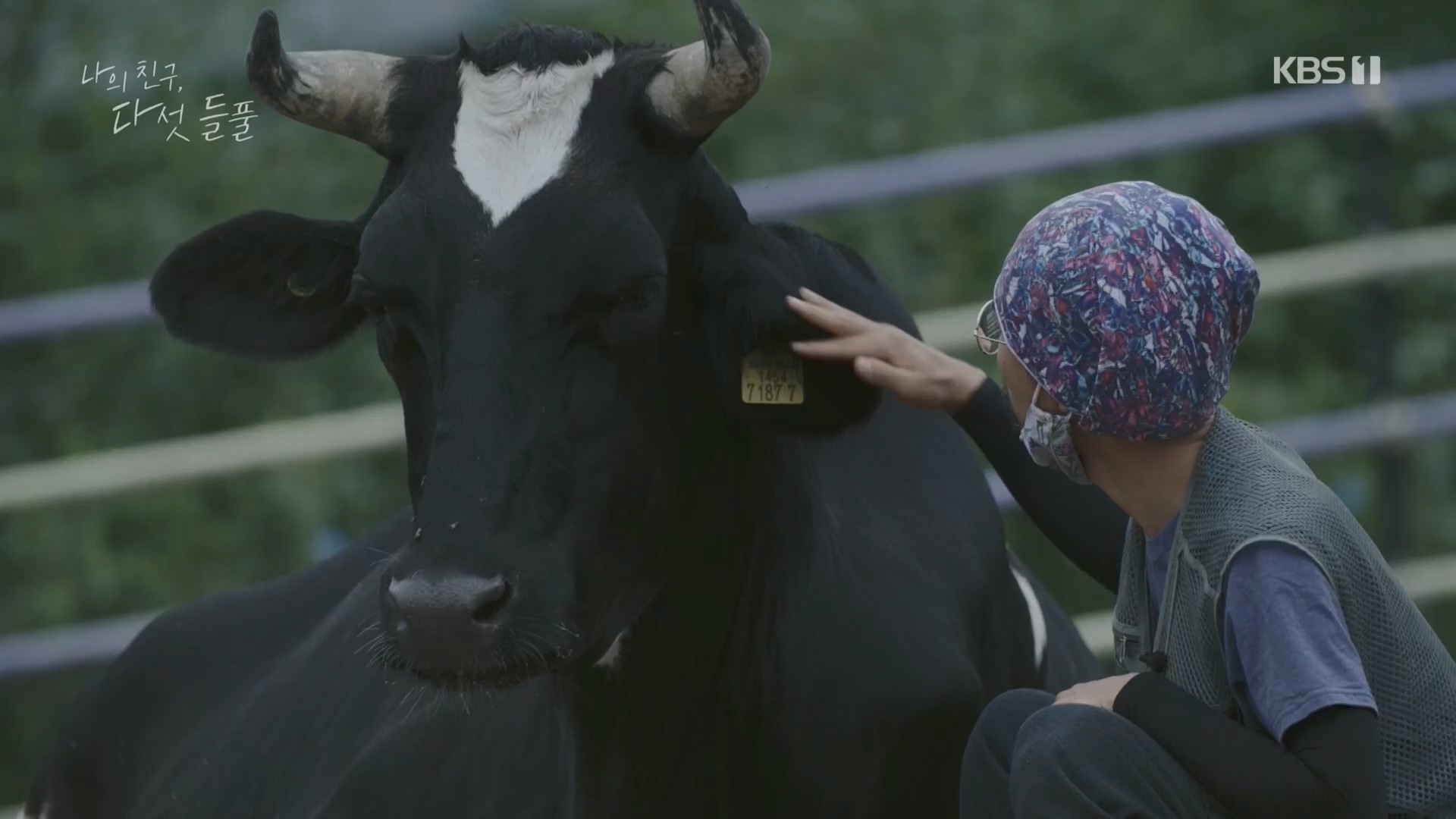 특집 다큐 나의 친구, 다섯 들풀.240119p.H264-F1RST.mp4_20240121_151736.631.jpg