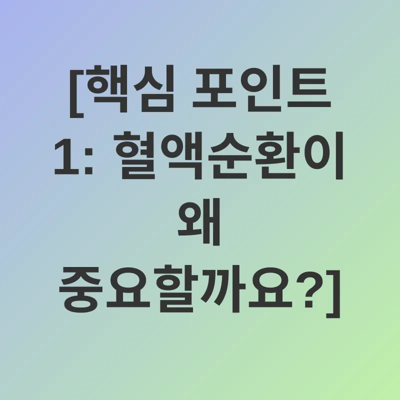 혈액순환 개선_1