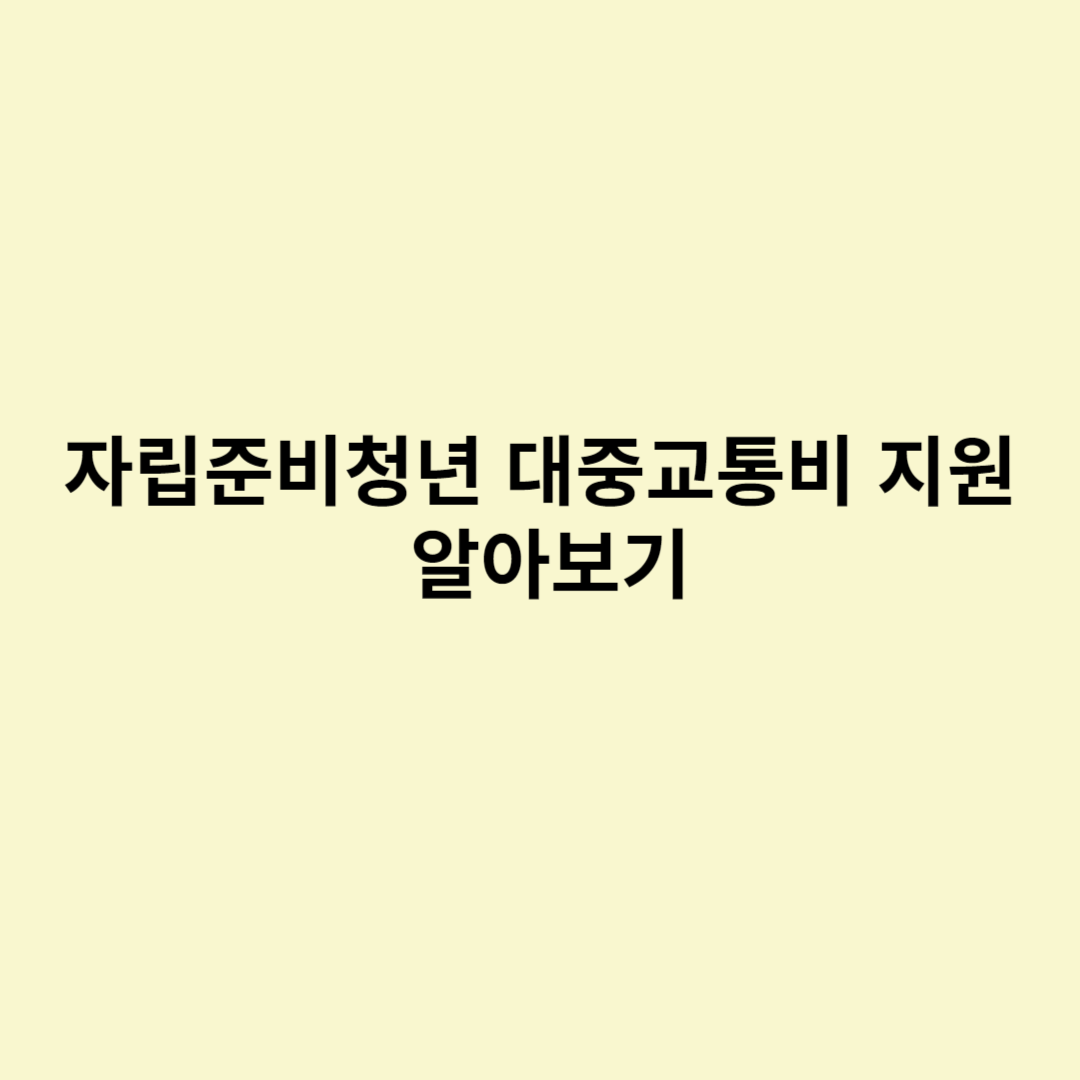  자립준비청년 대중교통비 지원 알아보기
