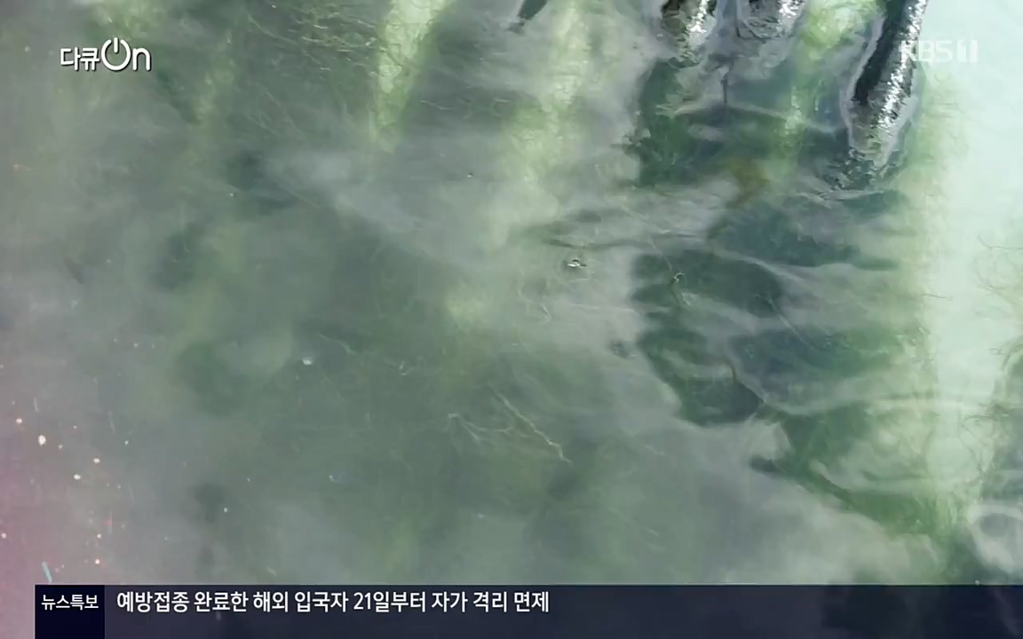 다큐 온.E131p-NEXT.mp4_20220319_173941.620.jpg