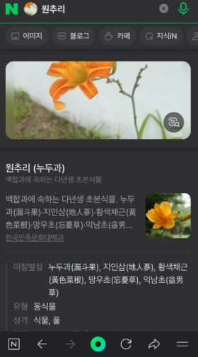 꽃이름 검색 네이버 꽃검색 사진으로 꽃이름 찾기 방법