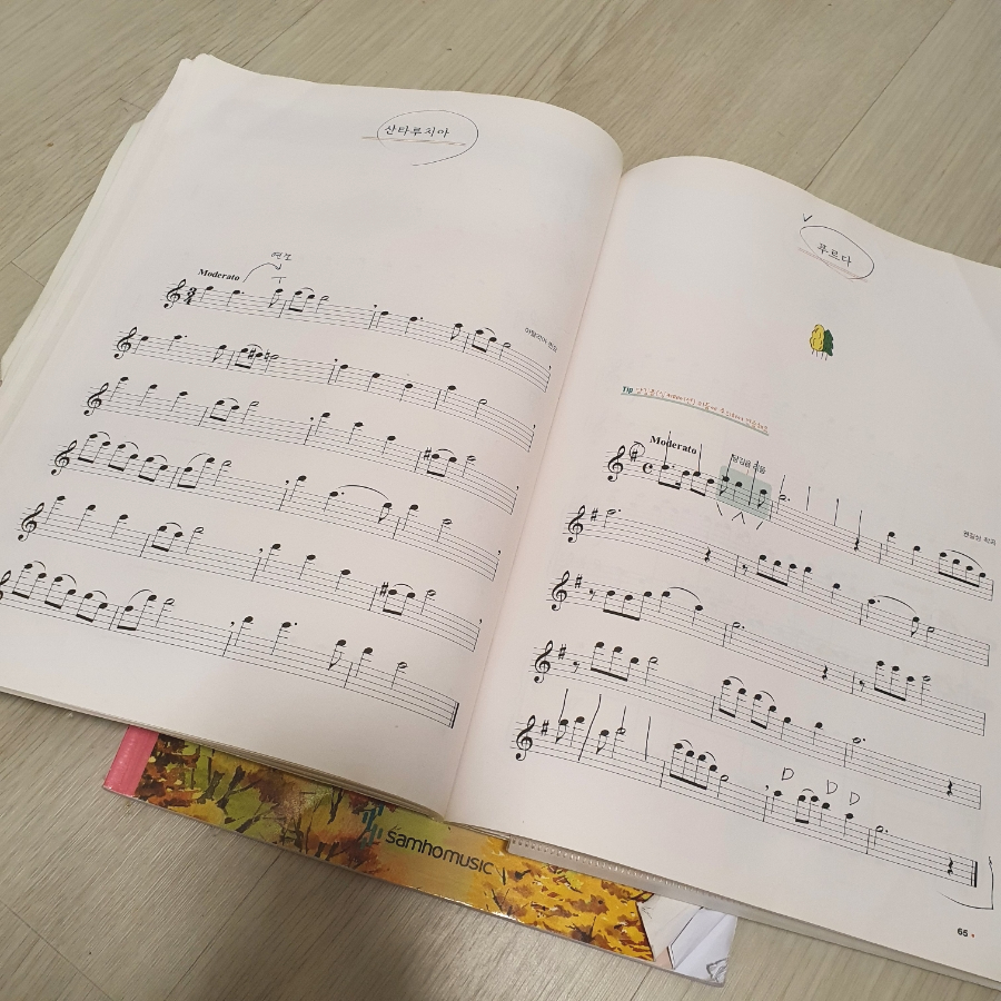 5개월 리뷰 :) 취미 플룻 레슨