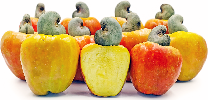  캐슈 애플 Cashew Apple 에 대해서 알아볼게요.