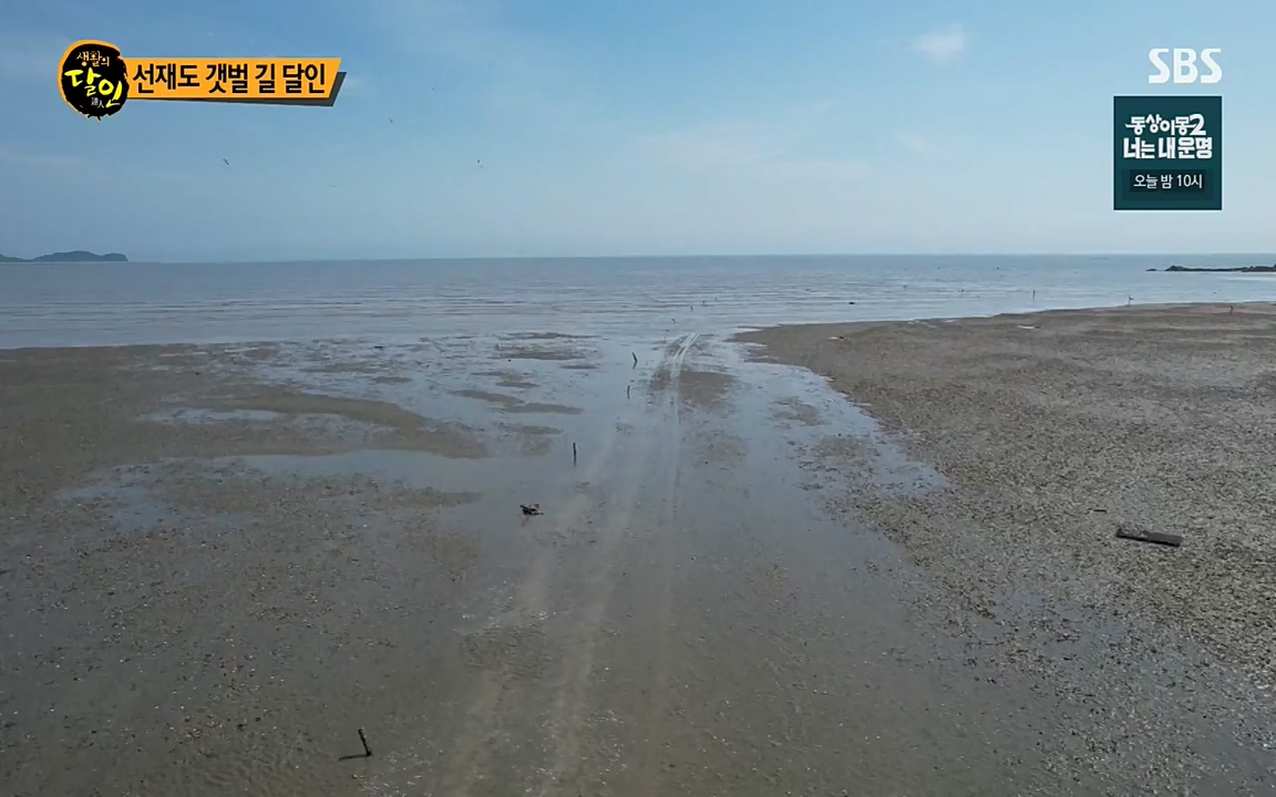 생활의 달인.E850.220705p-NEXT.mp4_20220705_202443.899.jpg