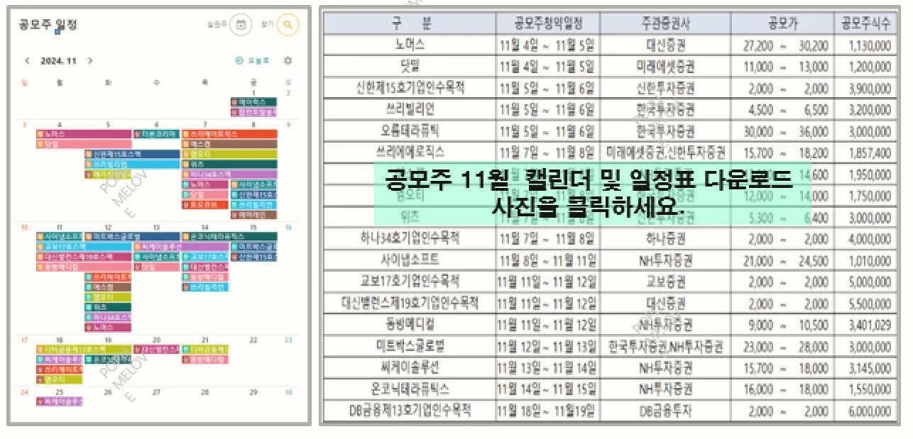 11월 공모주 일정