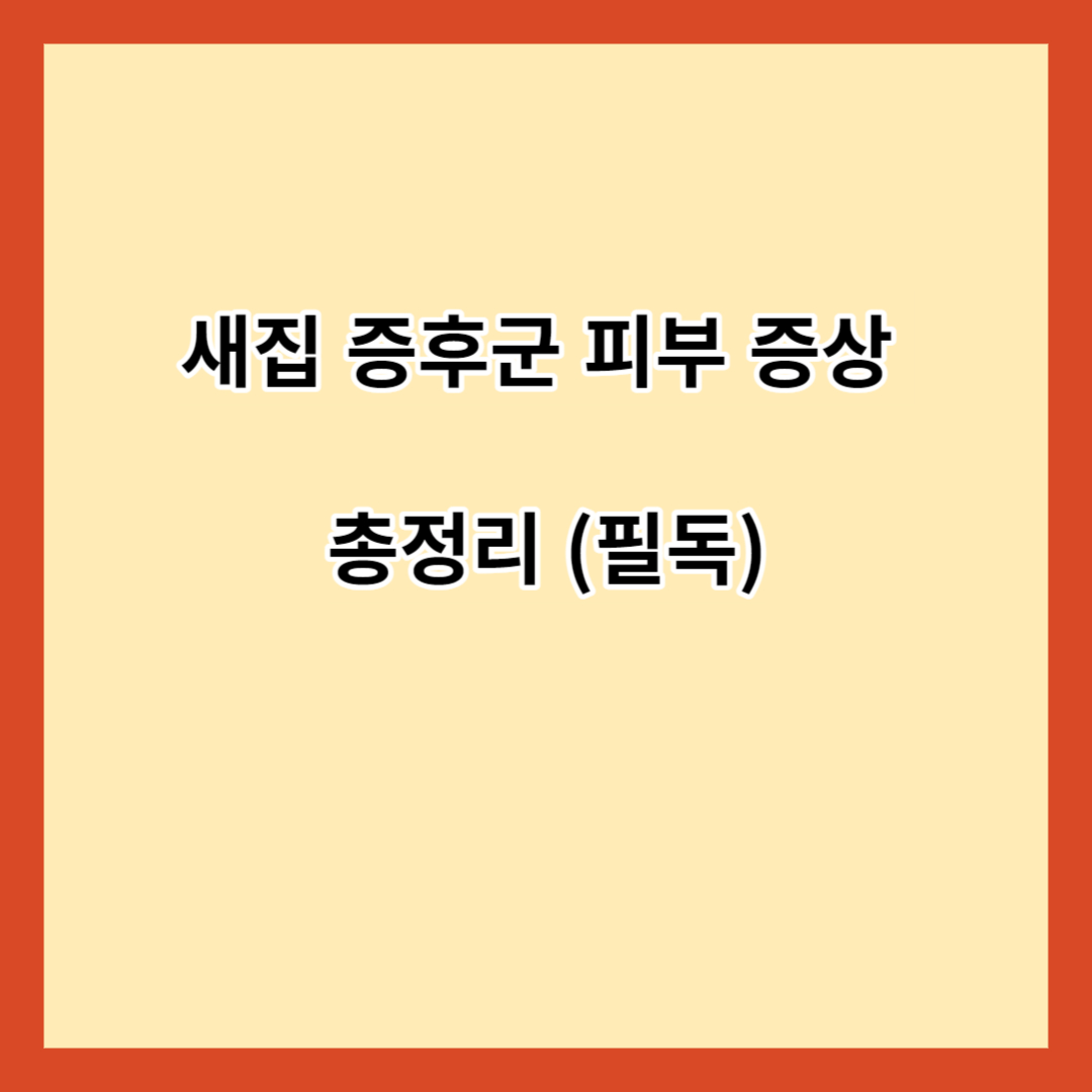 새집 증후군 피부 증상 총정리 (필독)