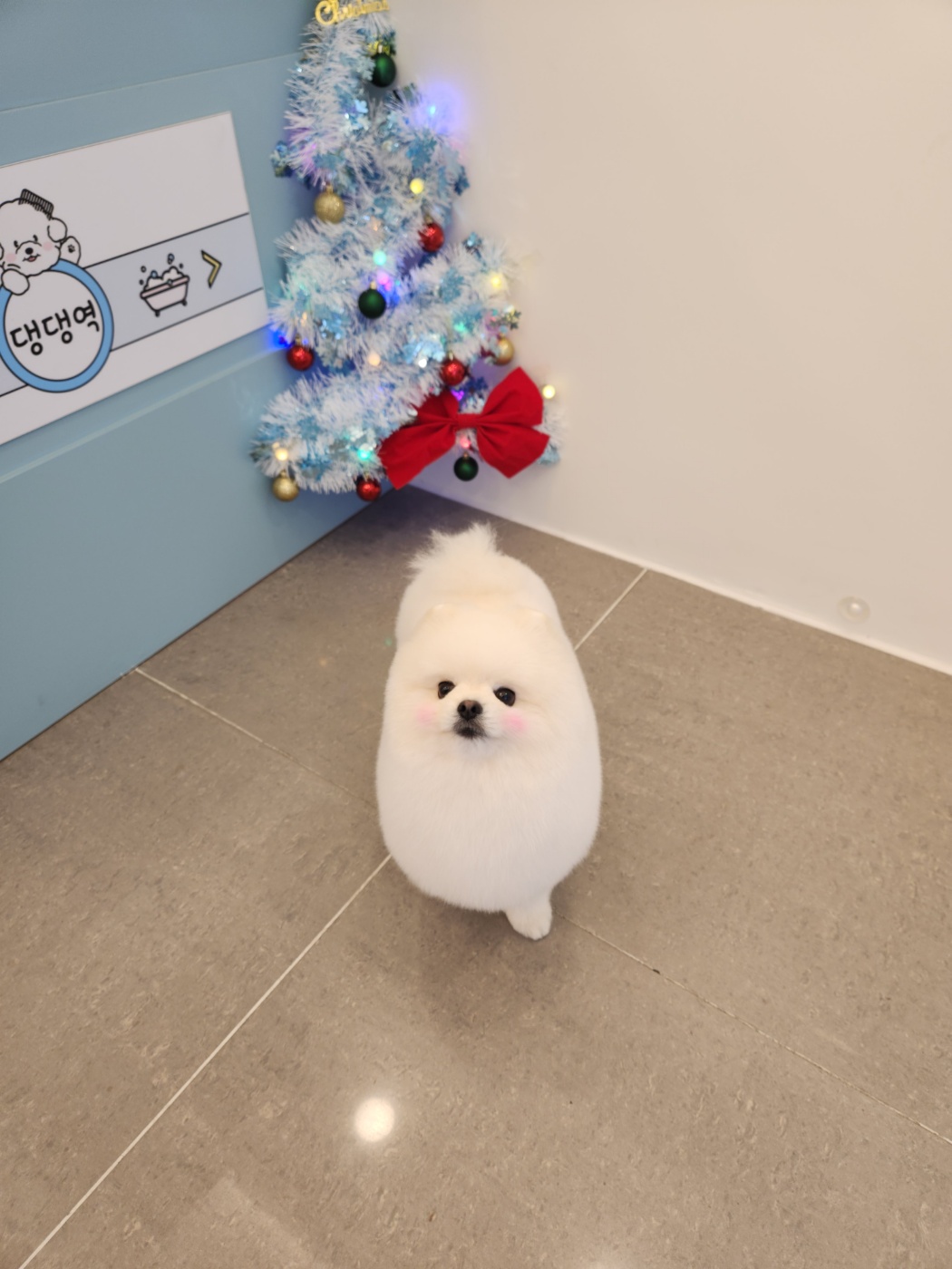 포도미용실 이미지