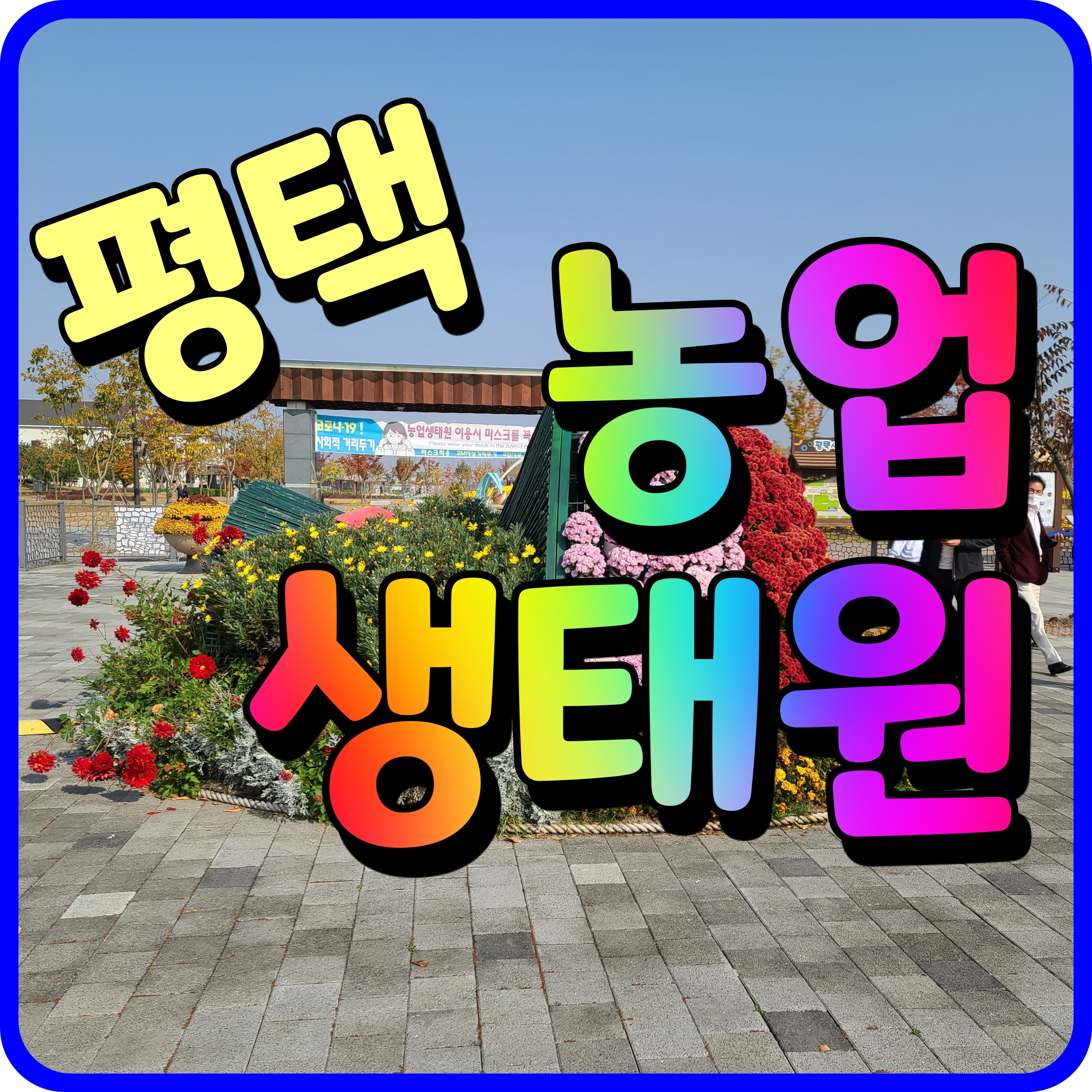  평택 농업생태원 아이와 가볼만한곳 모래놀이 미끄럼틀 넓은 잔디밭까지