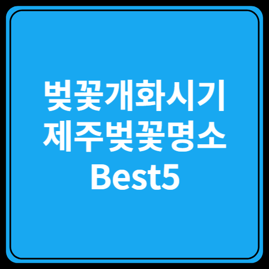 제주벚꽃