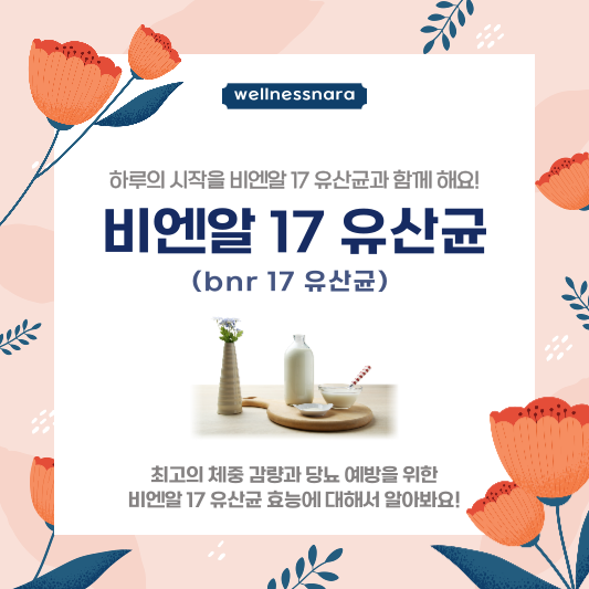  비엔알 17 유산균(lactobacillus gasseri bnr17) 효능 3가지, 주의사항