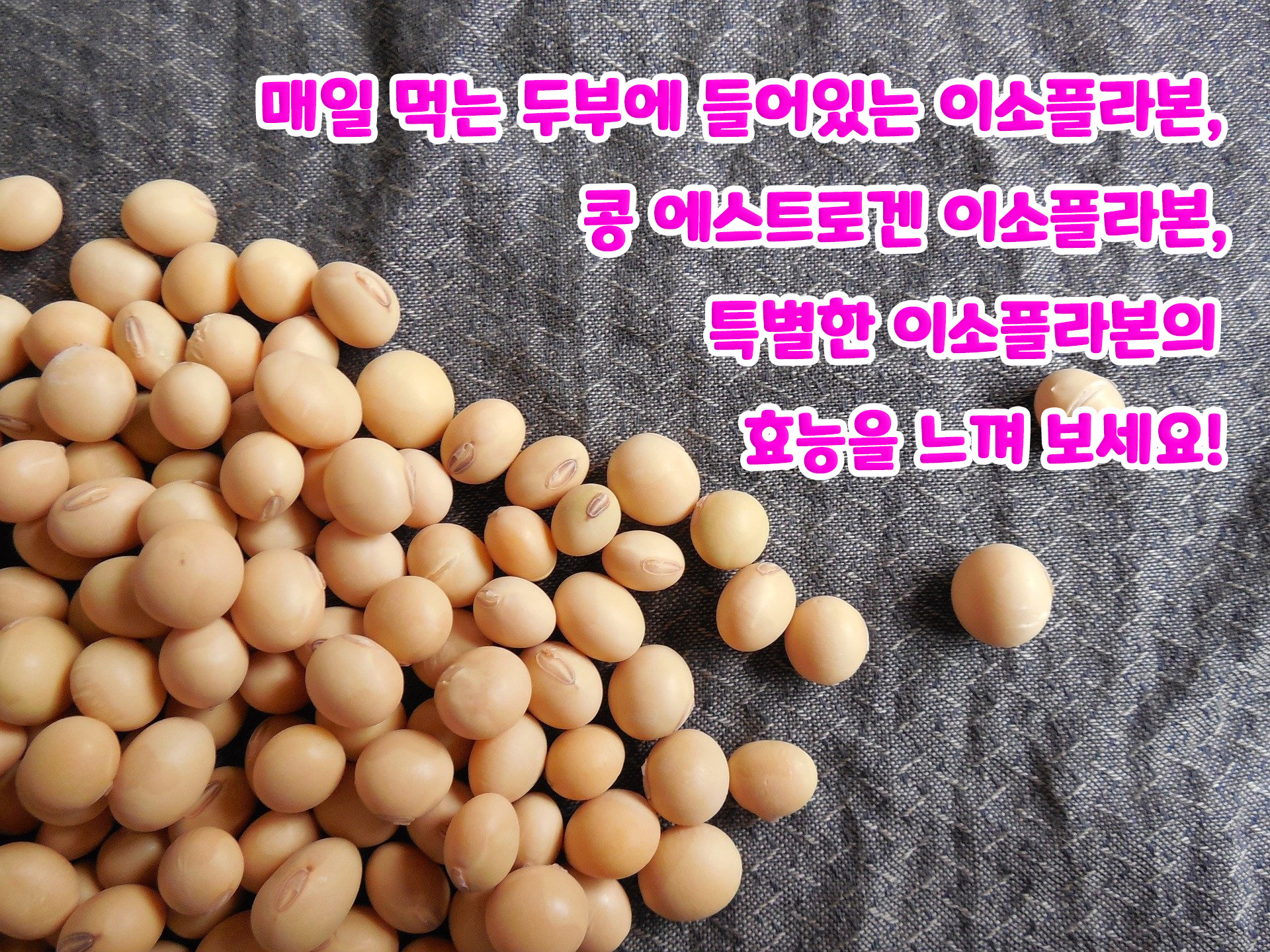  매일 먹는 두부 이소플라본, 콩 에스트로겐 이소플라본! 특별한 이소플라본의 효능!