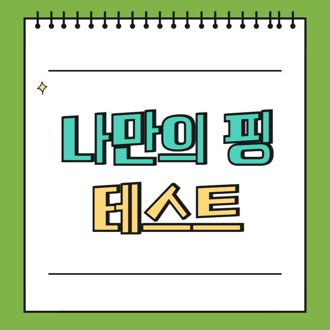 나만의 핑 테스트 0