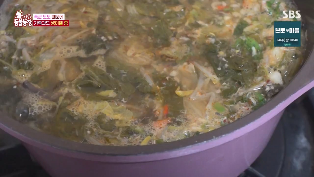 TV 동물농장.E1155.240122p-NEXT.mp4_20240121_145941.961.jpg