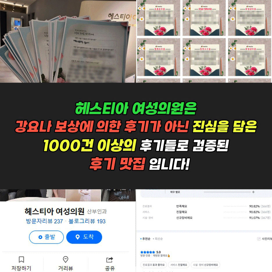 헤스티아 진심 후기 1000건 이상