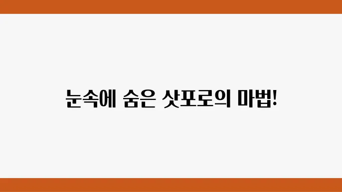 겨울의 삿포로에서 즐기는 특별한 순간들