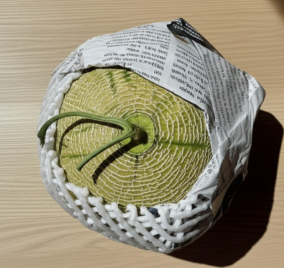 메론 후숙 방법