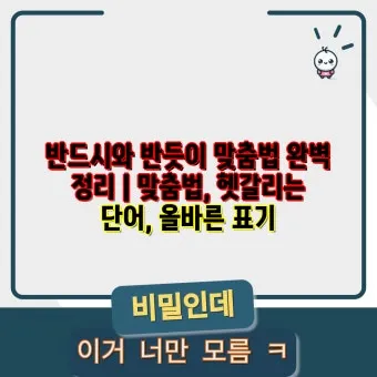 반듯이 반드시 차이 맞춤법_27
