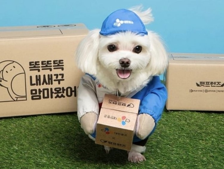  심장병 앓는 택배견 경태희 아버지 택배기사, 수천만원 후원금 받고 잠적 의혹