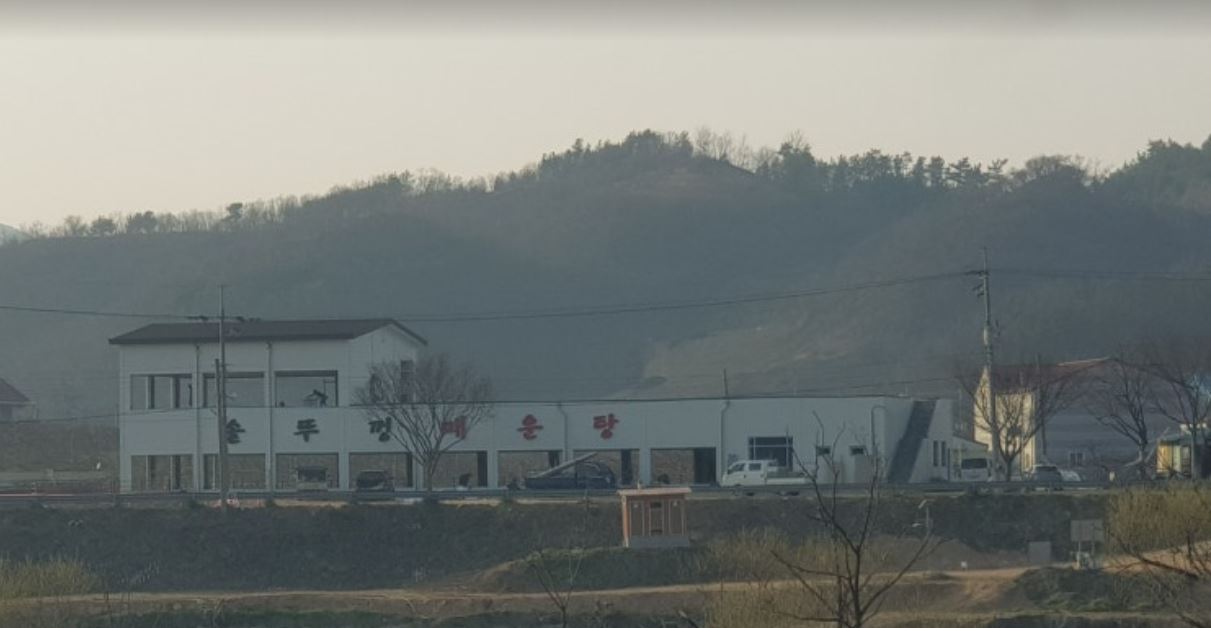 내고향메기매운탕 이미지
