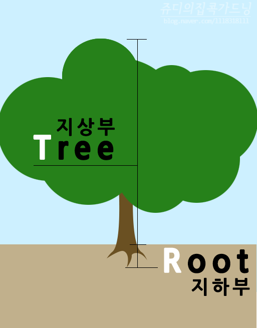 아보카도의 가지치기/가지치기의 원리 2