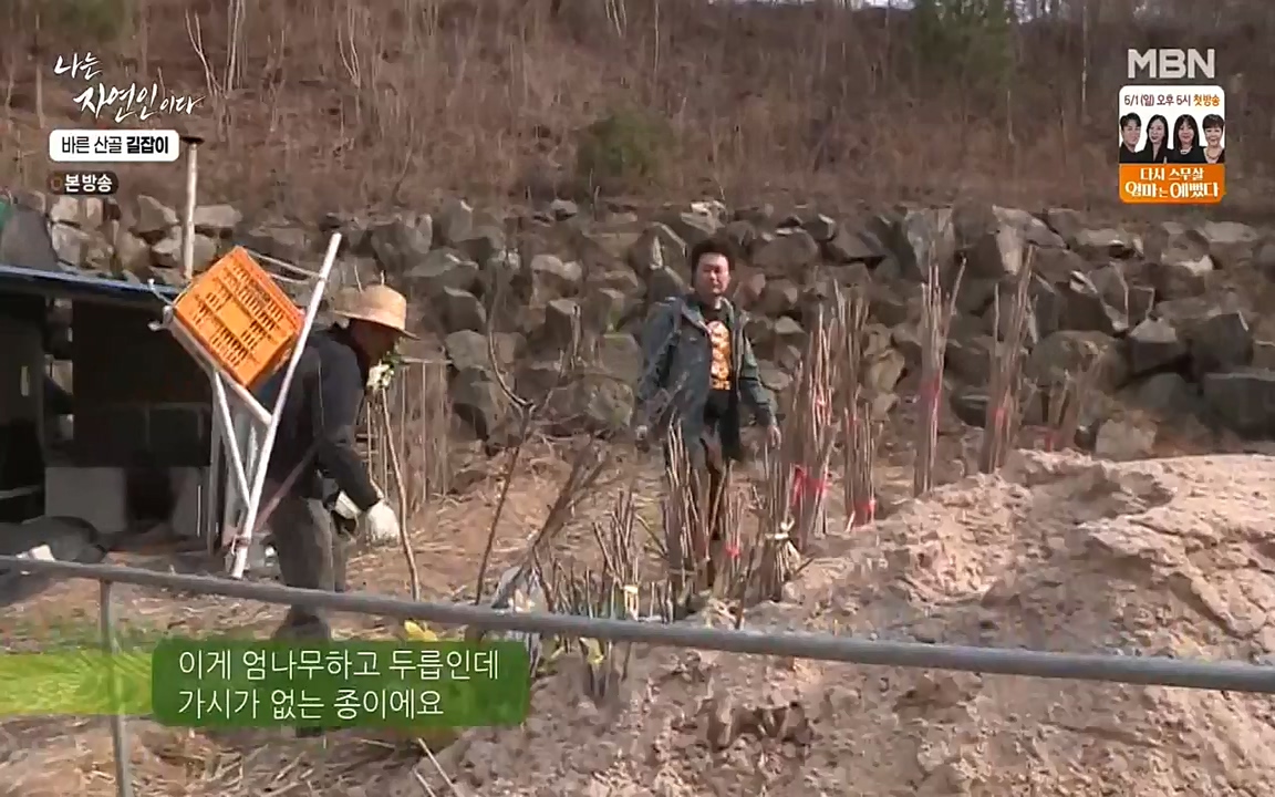 나는 자연인이다.E499.220428p-NEXT.mp4_20220428_175944.923.jpg