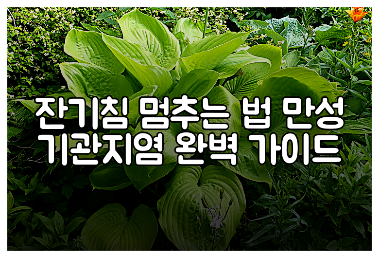 잔기침 멈추는 법 만성 기관지염 완벽 가이드