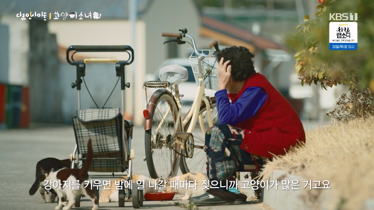 다큐 인사이트.E189.240524p-NEXT.mp4_20240524_205059.563.jpg