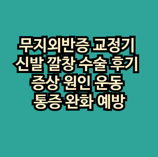 무지외반정교정기