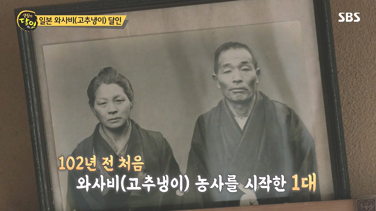 생활의 달인.E908.231017p-NEXT.mp4_20231017_200104.628.jpg