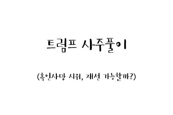  트럼프 사주풀이 (흑인 사망 시위, 재선 가능할까?)
